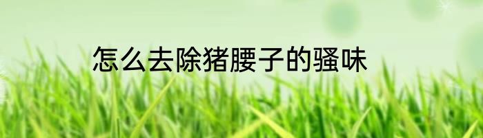 怎么去除猪腰子的骚味