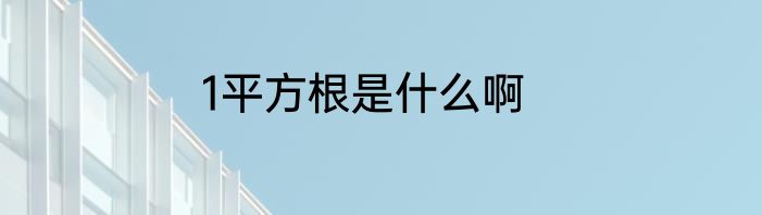 1平方根是什么啊