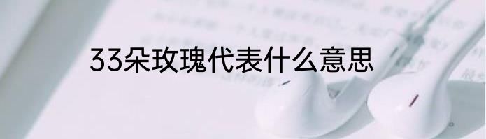 33朵玫瑰代表什么意思