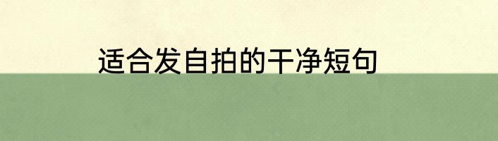 适合发自拍的干净短句
