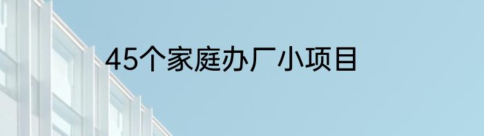 45个家庭办厂小项目