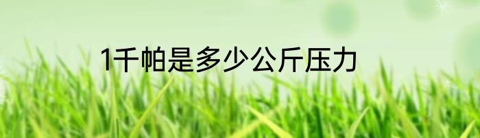 1千帕是多少公斤压力