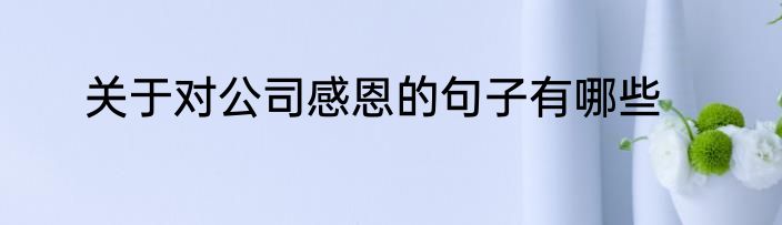 关于对公司感恩的句子有哪些