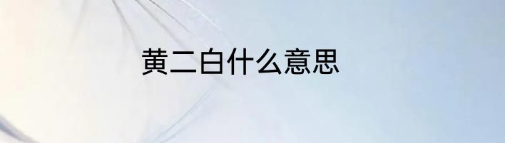 黄二白什么意思