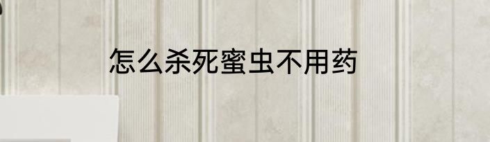 怎么杀死蜜虫不用药