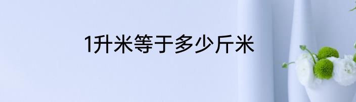 1升米等于多少斤米