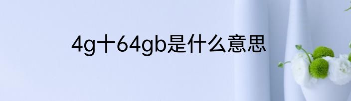 4g十64gb是什么意思
