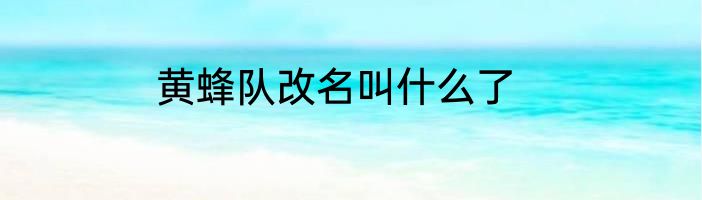 黄蜂队改名叫什么了