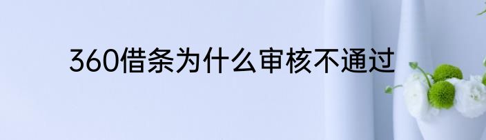 360借条为什么审核不通过