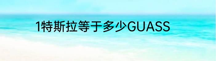 1特斯拉等于多少GUASS