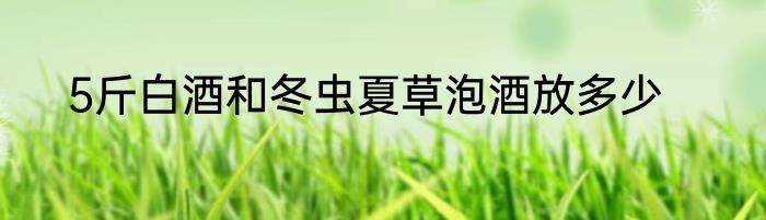 5斤白酒和冬虫夏草泡酒放多少