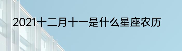 2021十二月十一是什么星座农历