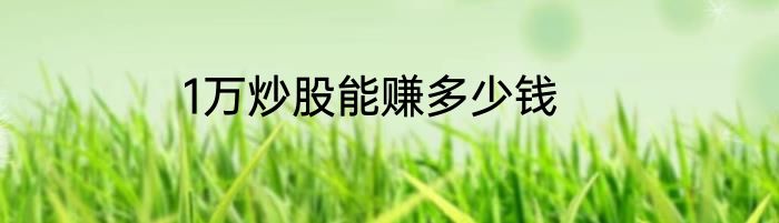 1万炒股能赚多少钱