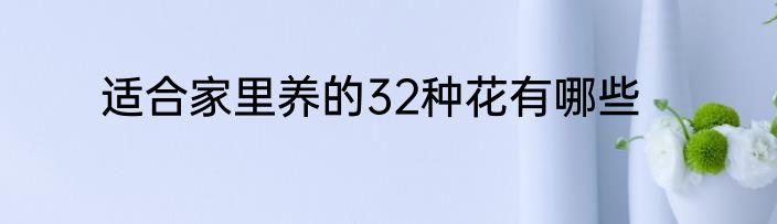 适合家里养的32种花有哪些