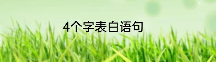 4个字表白语句