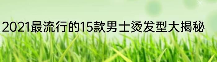 2021最流行的15款男士烫发型大揭秘