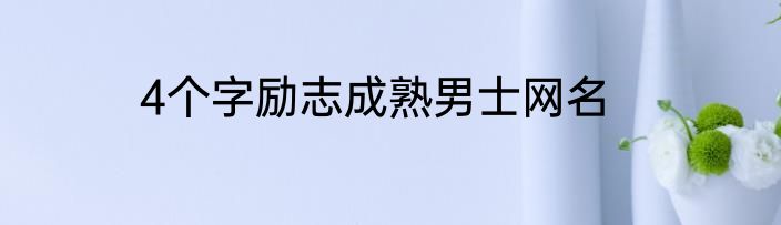 4个字励志成熟男士网名