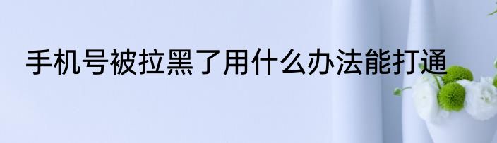 手机号被拉黑了用什么办法能打通
