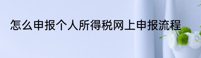 怎么申报个人所得税网上申报流程