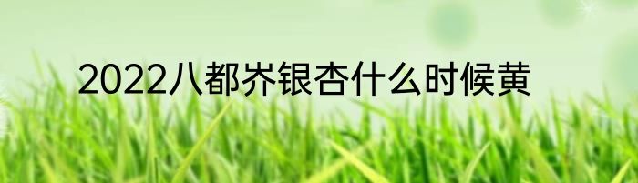 2022八都岕银杏什么时候黄