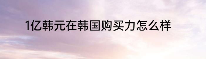 1亿韩元在韩国购买力怎么样