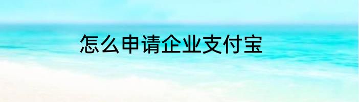 怎么申请企业支付宝