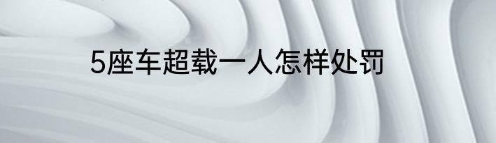 5座车超载一人怎样处罚