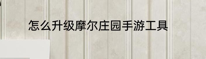 怎么升级摩尔庄园手游工具