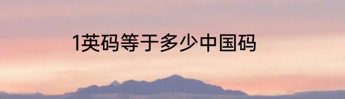 1英码等于多少中国码