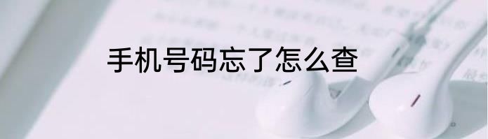 手机号码忘了怎么查