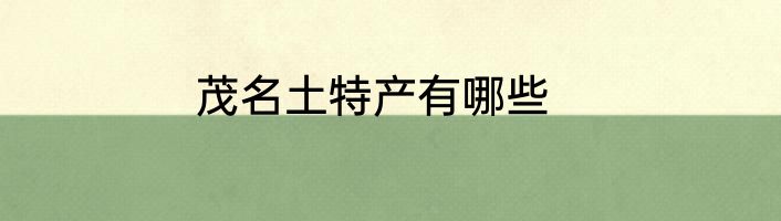 茂名土特产有哪些
