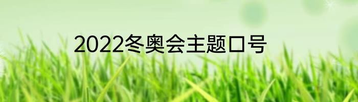 2022冬奥会主题口号