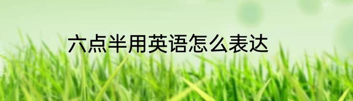 六点半用英语怎么表达