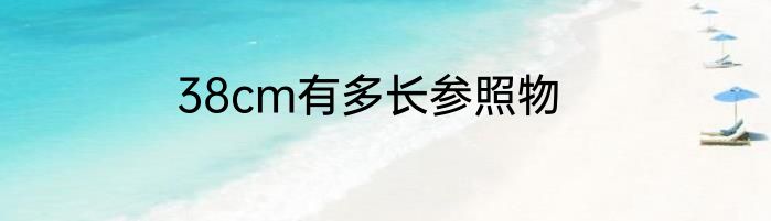 38cm有多长参照物