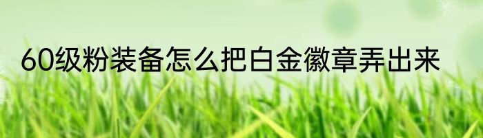 60级粉装备怎么把白金徽章弄出来