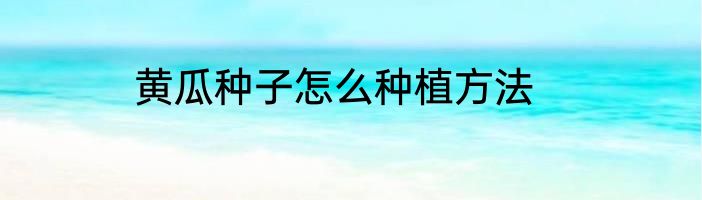 黄瓜种子怎么种植方法