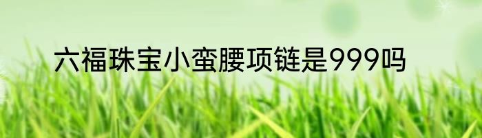 六福珠宝小蛮腰项链是999吗