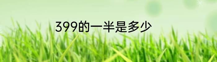 399的一半是多少