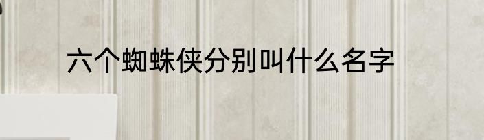 六个蜘蛛侠分别叫什么名字