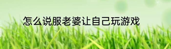 怎么说服老婆让自己玩游戏