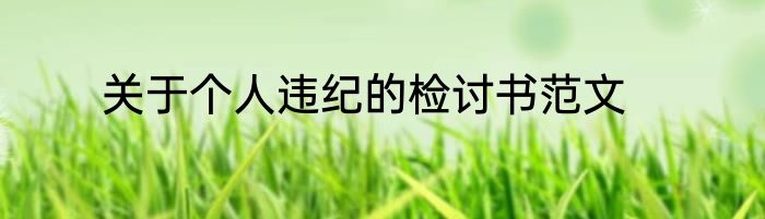 关于个人违纪的检讨书范文