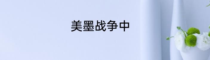 美墨战争中