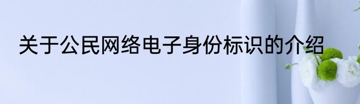 关于公民网络电子身份标识的介绍