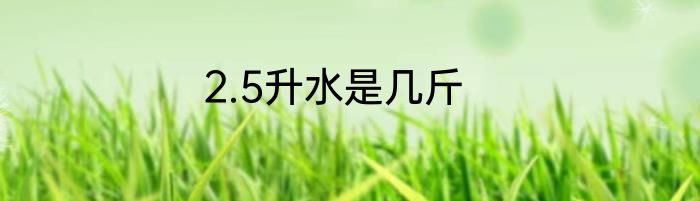 2.5升水是几斤