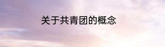 关于共青团的概念