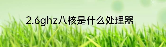 2.6ghz八核是什么处理器