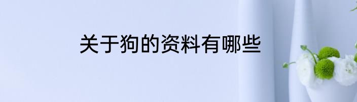 关于狗的资料有哪些