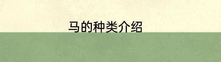 马的种类介绍