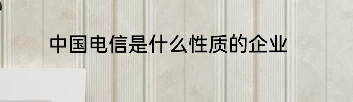 中国电信是什么性质的企业