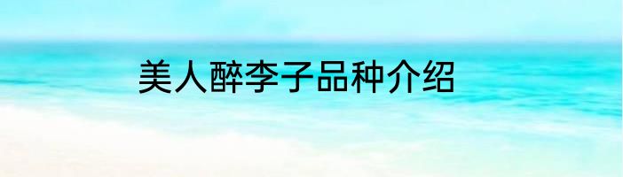 美人醉李子品种介绍